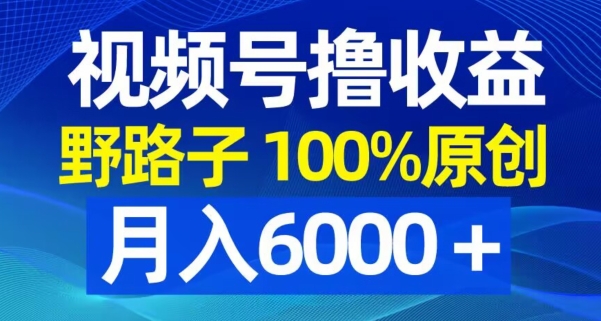 视频号野路子撸收益，100%原创，条条爆款，月入6000＋【揭秘】-轻松搞定副业 - 高效赚钱方法和建议