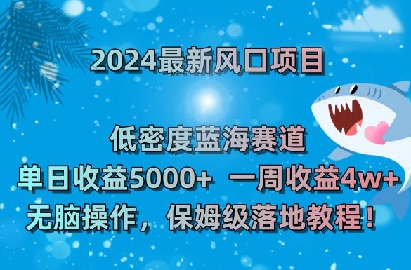 2024最新风口项目，低密度蓝海赛道，单日收益5000+，一周收益4w+！【揭秘】-轻松搞定副业 - 高效赚钱方法和建议