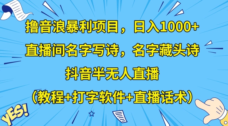 撸音浪暴利项目，日入1000+，直播间名字写诗，名字藏头诗，抖音半无人直播（教程+打字软件+直播话术）【揭秘】-轻松搞定副业 - 高效赚钱方法和建议