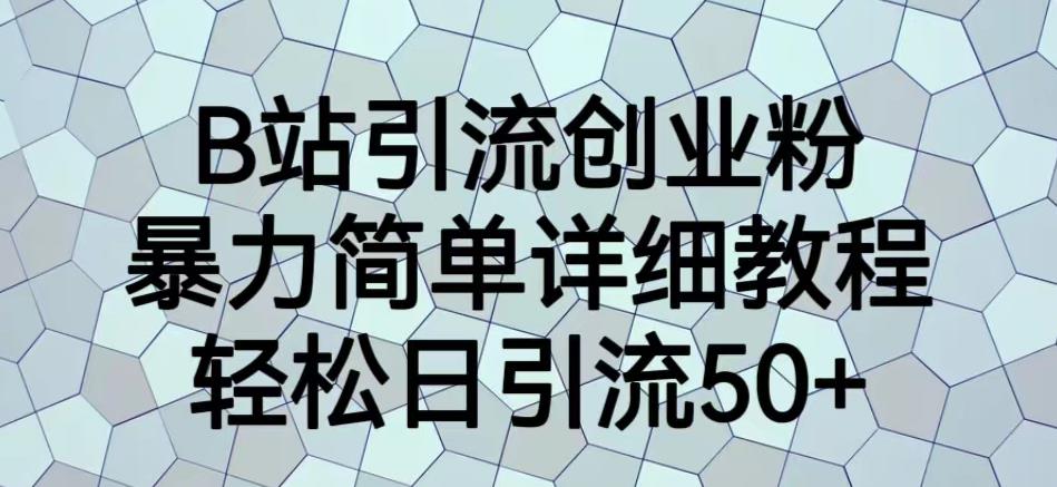 B站引流创业粉，暴力简单详细教程，轻松日引流50+【揭秘】-轻松搞定副业 - 高效赚钱方法和建议