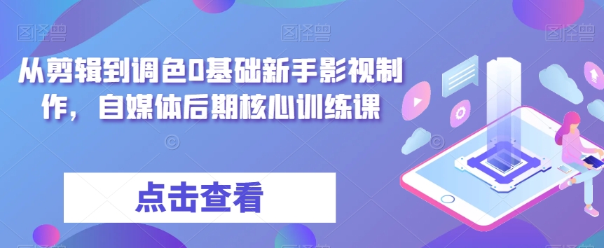 从剪辑到调色0基础新手影视制作，自媒体后期核心训练课-轻松搞定副业 - 高效赚钱方法和建议
