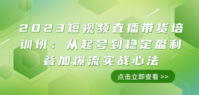 2023短视频直播带货培训班：从起号到稳定盈利叠加爆流实战心法（11节课）-轻松搞定副业 - 高效赚钱方法和建议