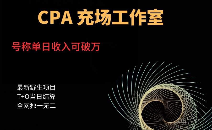 cpa充场工作室，号称单日收入10000+（揭秘）-轻松搞定副业 - 高效赚钱方法和建议