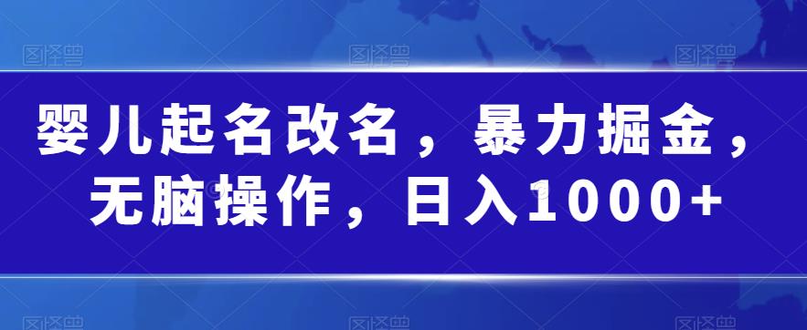 婴儿起名改名，暴力掘金，无脑操作，日入1000+【揭秘】-轻松搞定副业 - 高效赚钱方法和建议