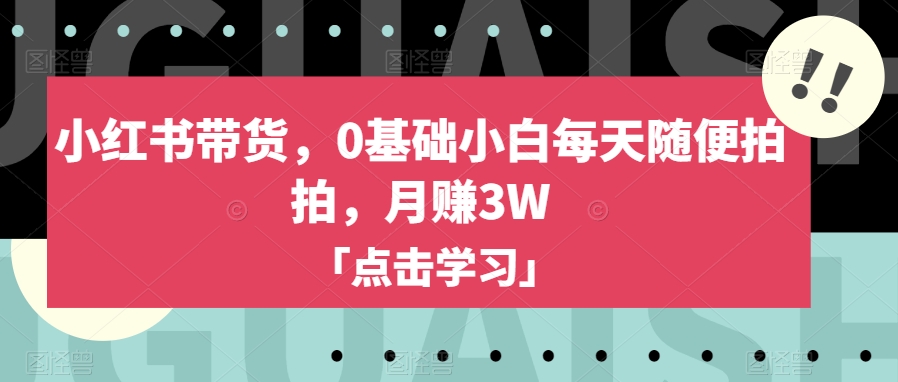 小红书带货，0基础小白每天随便拍拍，月赚3W【揭秘】-轻松搞定副业 - 高效赚钱方法和建议