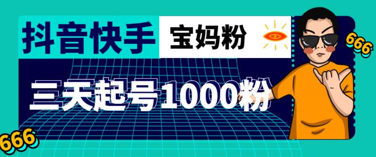 抖音快手三天起号涨粉1000宝妈粉丝的核心方法【详细玩法教程】-轻松搞定副业 - 高效赚钱方法和建议