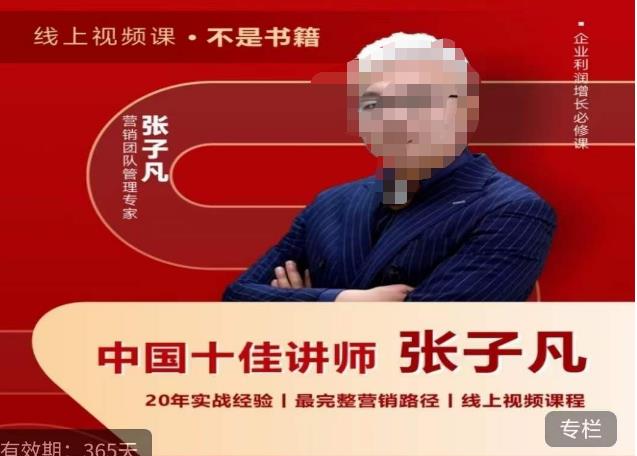 张子凡·20年实战经验，揭秘营销背后的底层逻辑，突破思维局限，从根本上破解营销难题-轻松搞定副业 - 高效赚钱方法和建议