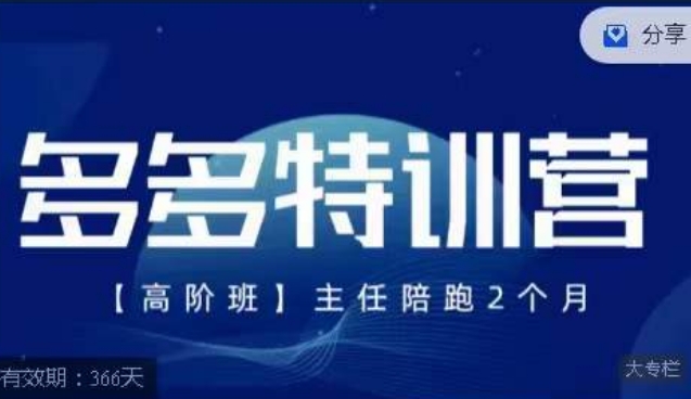 纪主任·多多特训营高阶班【9月13日更新】，拼多多最新玩法技巧落地实操-轻松搞定副业 - 高效赚钱方法和建议