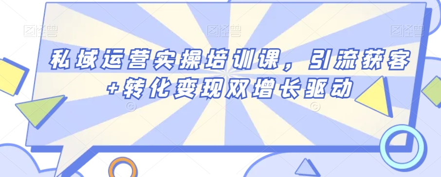私域运营实操培训课，引流获客+转化变现双增长驱动-轻松搞定副业 - 高效赚钱方法和建议