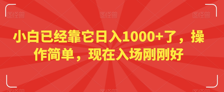 小白已经靠它日入1000+了，操作简单，现在入场刚刚好【揭秘】-轻松搞定副业 - 高效赚钱方法和建议