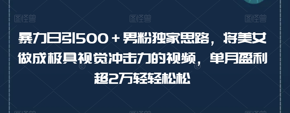 暴力日引500＋男粉独家思路，将美女做成极具视觉冲击力的视频，单月盈利超2万轻轻松松-轻松搞定副业 - 高效赚钱方法和建议