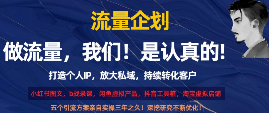 流量企划，打造个人IP，放大私域，持续转化客户【揭秘】-轻松搞定副业 - 高效赚钱方法和建议