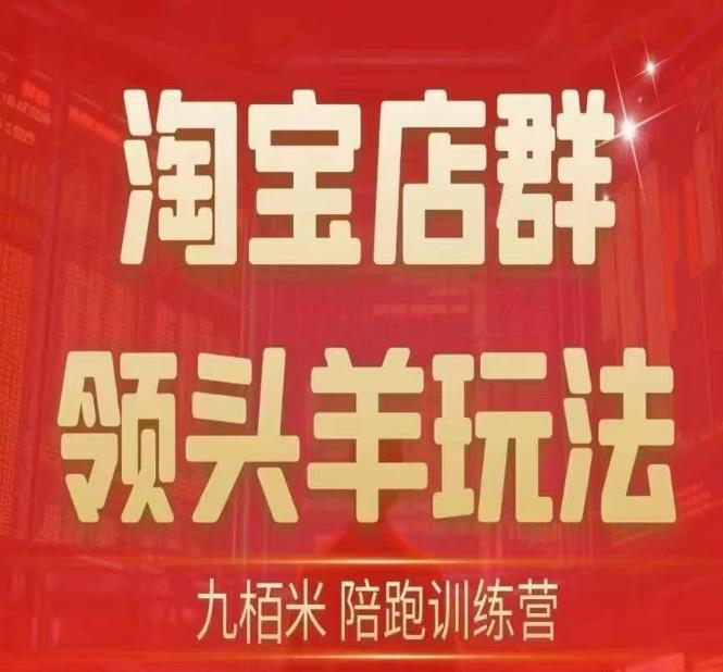 九栢米-淘宝店群领头羊玩法，教你整个淘宝店群领头羊玩法以及精细化/终极蓝海/尾销等内容-轻松搞定副业 - 高效赚钱方法和建议