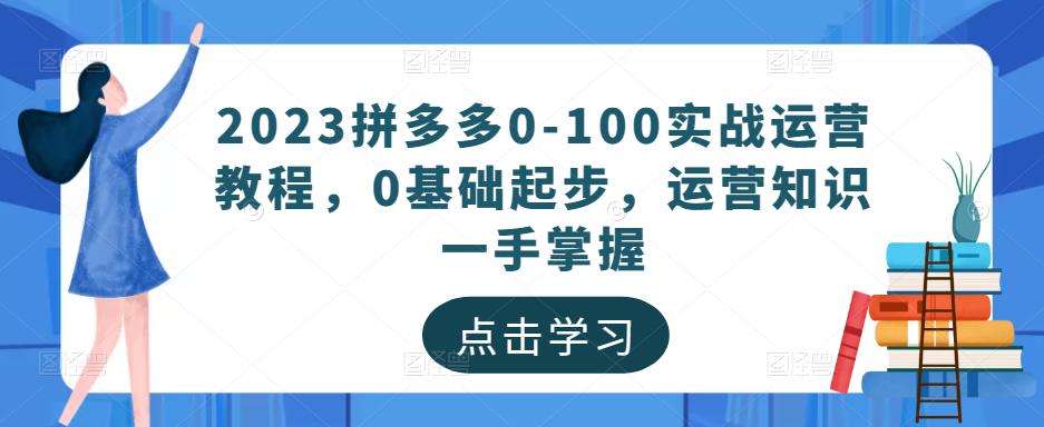 2023拼多多0-100实战运营教程，0基础起步，运营知识一手掌握-轻松搞定副业 - 高效赚钱方法和建议