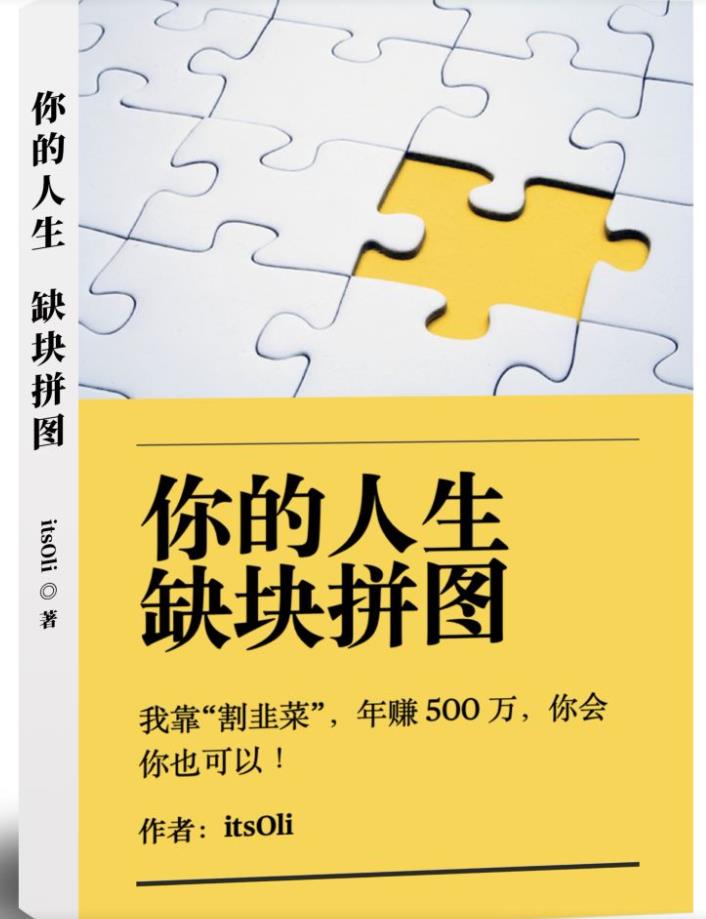 某高赞电子书《你的人生，缺块拼图——我靠“割韭菜”，年赚500万，你会你也可以》-轻松搞定副业 - 高效赚钱方法和建议