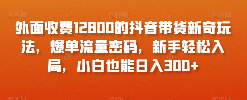 外面收费12800的抖音带货新奇玩法，爆单流量密码，新手轻松入局，小白也能日入300+【揭秘】-轻松搞定副业 - 高效赚钱方法和建议