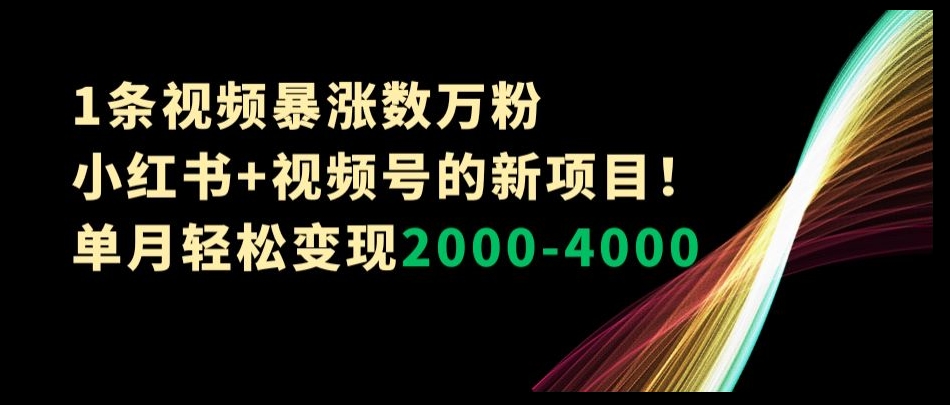 1条视频暴涨数万粉–小红书+视频号的新项目！单月轻松变现2000-4000【揭秘】-轻松搞定副业 - 高效赚钱方法和建议