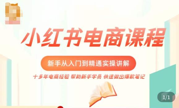 小红书电商新手入门到精通实操课，从入门到精通做爆款笔记，开店运营-轻松搞定副业 - 高效赚钱方法和建议