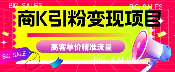 商K引粉变现项目，高客单价精准流量【揭秘】-轻松搞定副业 - 高效赚钱方法和建议