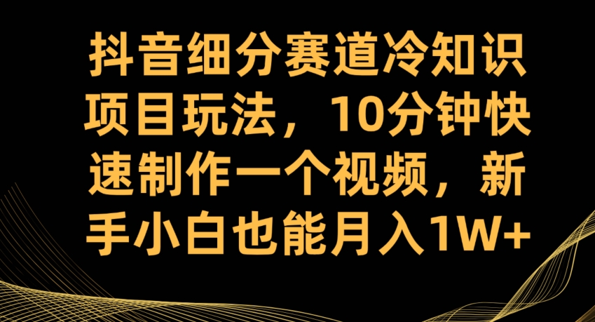 抖音细分赛道冷知识项目玩法，10分钟快速制作一个视频，新手小白也能月入1W+【揭秘】-轻松搞定副业 - 高效赚钱方法和建议