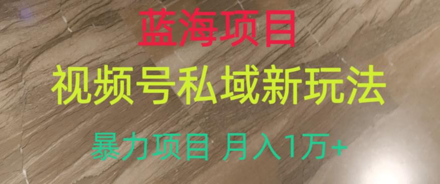 蓝海项目，视频号私域新玩法，暴力项目月入1万+【揭秘】-轻松搞定副业 - 高效赚钱方法和建议