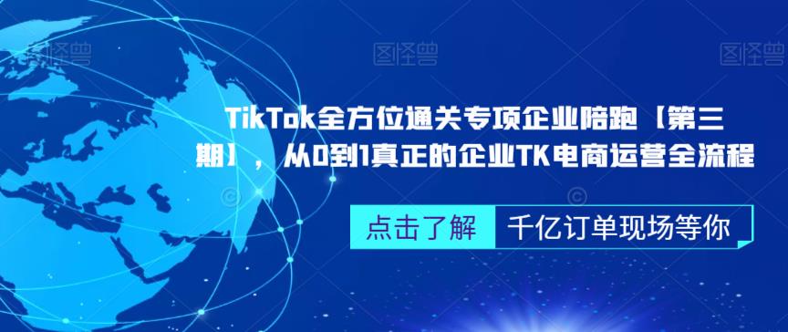 ‎TikTok全方位通关专项企业陪跑【第三期】，从0到1真正的企业TK电商运营全流程-轻松搞定副业 - 高效赚钱方法和建议
