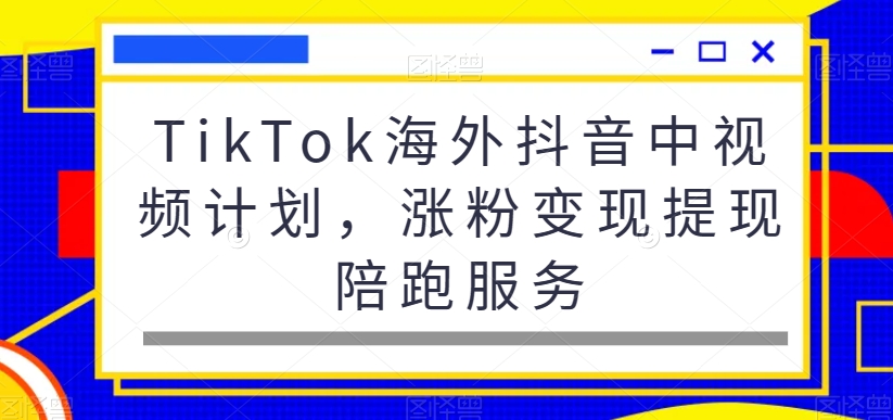 TikTok海外抖音中视频计划，涨粉变现提现陪跑服务-轻松搞定副业 - 高效赚钱方法和建议