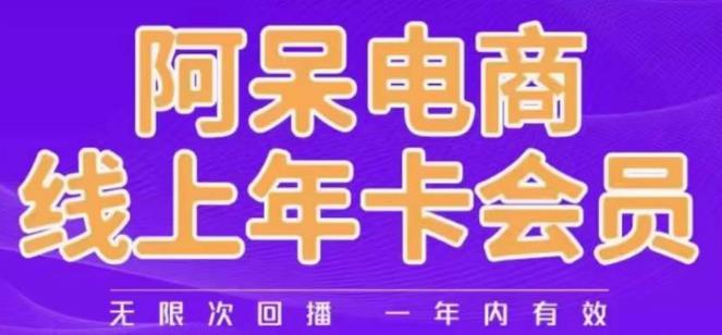 阿呆电商线上年会员，阿呆电商干货分享（更新中）-轻松搞定副业 - 高效赚钱方法和建议