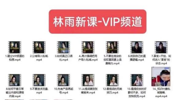 林雨新课VIP频道，玩赚私域/朋友圈/社群-轻松搞定副业 - 高效赚钱方法和建议