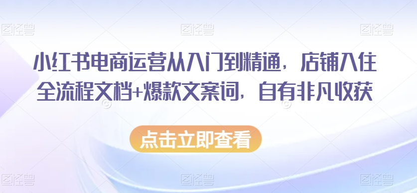 小红书电商运营从入门到精通，店铺入住全流程文档+爆款文案词，自有非凡收获-轻松搞定副业 - 高效赚钱方法和建议