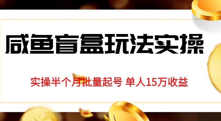 独家首发咸鱼盲盒玩法实操，半个月批量起号单人15万收益【揭秘】-轻松搞定副业 - 高效赚钱方法和建议