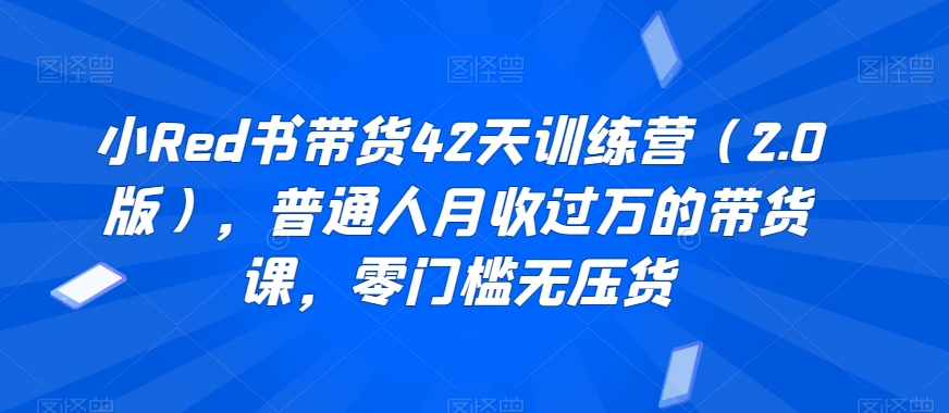 小Red书带货42天训练营（2.0版），普通人月收过万的带货课，零门槛无压货-轻松搞定副业 - 高效赚钱方法和建议