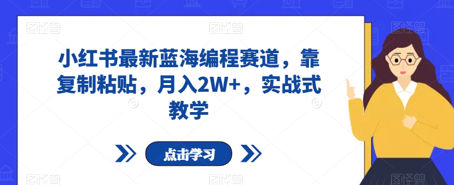 小红书最新蓝海编程赛道，靠复制粘贴，月入2W+，实战式教学【揭秘】-轻松搞定副业 - 高效赚钱方法和建议