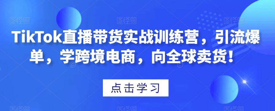 TikTok直播带货实战训练营，引流爆单，学跨境电商，向全球卖货！-轻松搞定副业 - 高效赚钱方法和建议