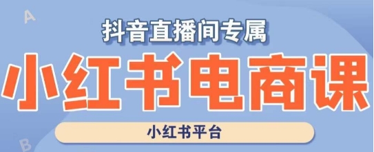 小红书电商高级运营课程，实操教学+案例分析-轻松搞定副业 - 高效赚钱方法和建议