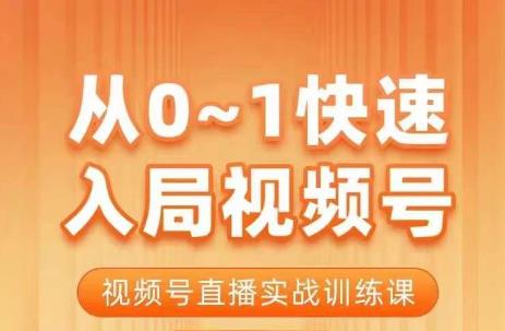 陈厂长·从0-1快速入局视频号课程，视频号直播实战训练课-轻松搞定副业 - 高效赚钱方法和建议