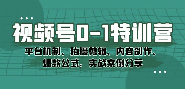 视频号0-1特训营：平台机制、拍摄剪辑、内容创作、爆款公式，实战案例分享-轻松搞定副业 - 高效赚钱方法和建议