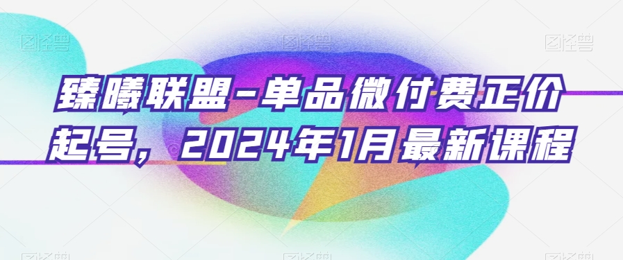 臻曦联盟-单品微付费正价起号，2024年1月最新课程-轻松搞定副业 - 高效赚钱方法和建议