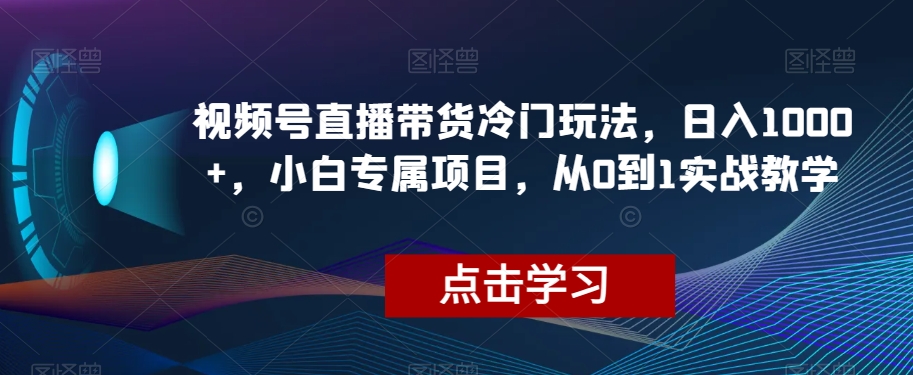 视频号直播带货冷门玩法，日入1000+，小白专属项目，从0到1实战教学【揭秘】-轻松搞定副业 - 高效赚钱方法和建议