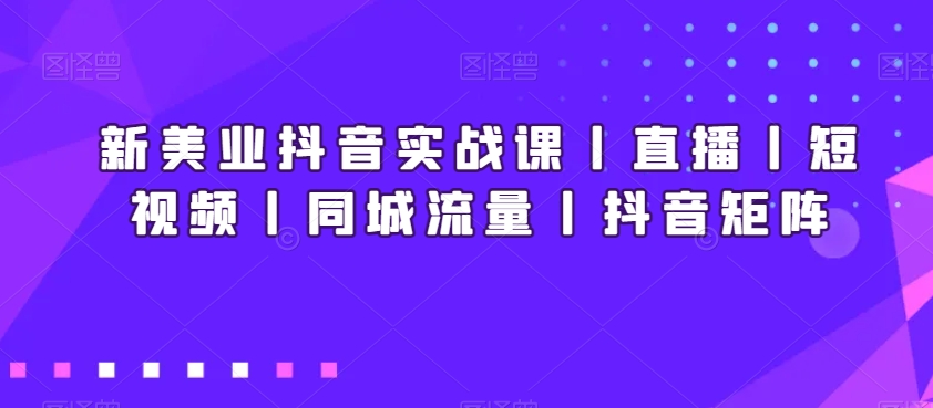 新美业抖音实战课丨直播丨短视频丨同城流量丨抖音矩阵-轻松搞定副业 - 高效赚钱方法和建议