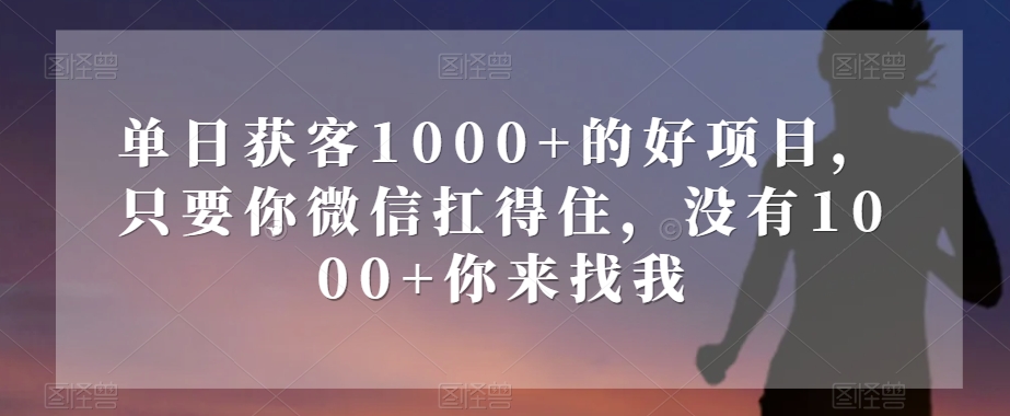 单日获客1000+的好项目，只要你微信扛得住，没有1000+你来找我【揭秘】-轻松搞定副业 - 高效赚钱方法和建议