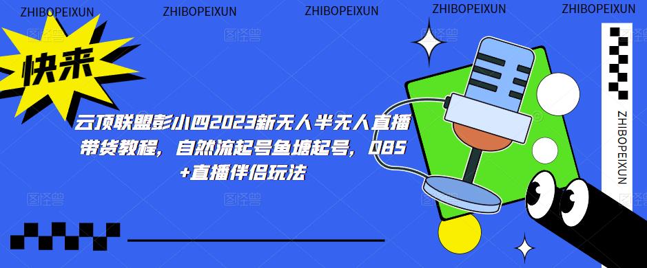 云顶联盟彭小四2023新无人半无人直播带货教程，自然流起号鱼塘起号，OBS+直播伴侣玩法-轻松搞定副业 - 高效赚钱方法和建议