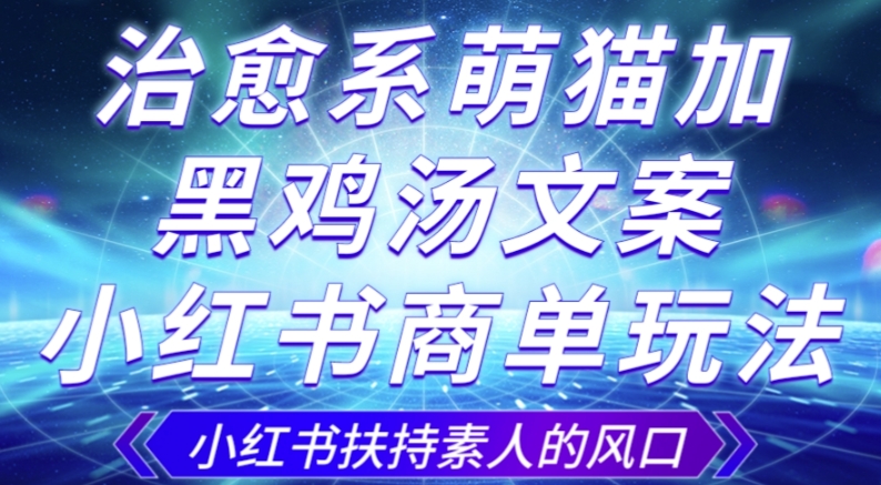 治愈系萌猫加+黑鸡汤文案，小红书商单玩法，3~10天涨到1000粉，一单200左右-轻松搞定副业 - 高效赚钱方法和建议