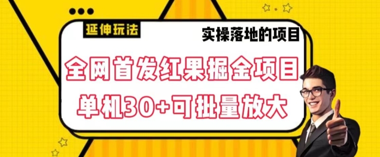 全网首发红果免费短剧掘金项目，单机30+可批量放大【揭秘】-轻松搞定副业 - 高效赚钱方法和建议