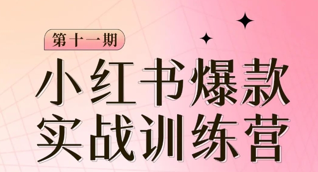 小红书博主爆款训练营第11期，手把手教你从0-1做小红书，从定位到起号到变现-轻松搞定副业 - 高效赚钱方法和建议
