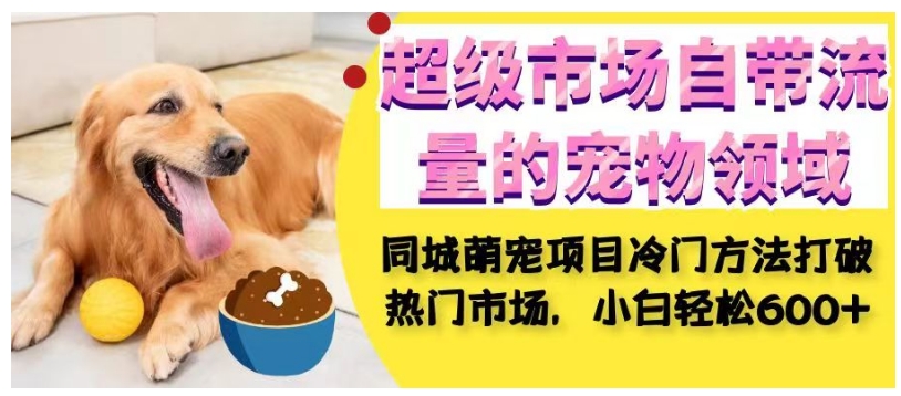 超级市场自带流量的宠物领域，同城萌宠项目冷门方法打破热门市场，小白轻松600+-轻松搞定副业 - 高效赚钱方法和建议
