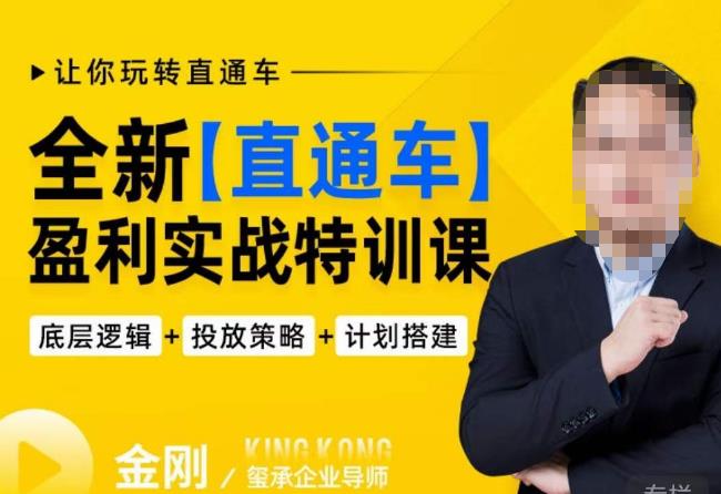 玺承·全新直通车盈利实战特训课，从​底层逻辑详细拆解，从底层，策略到搭建，让你玩转直通车-轻松搞定副业 - 高效赚钱方法和建议
