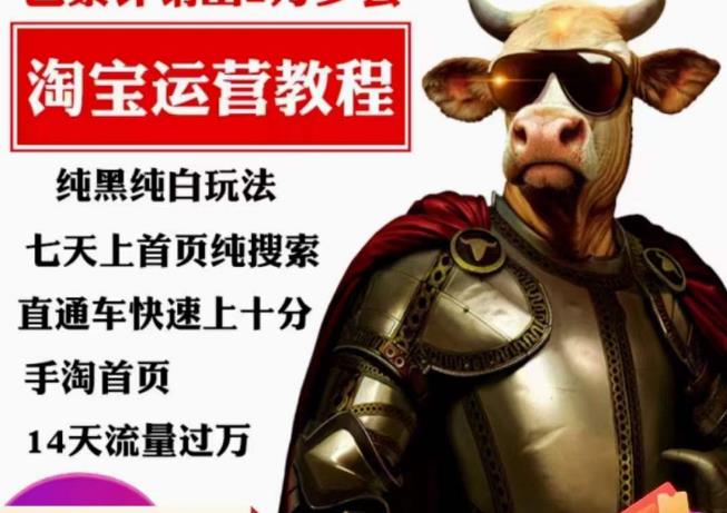 猫老师·淘系算法逆向解密，​纯黑纯白玩法，七天上首页纯搜索，手淘首页14天流量过万-轻松搞定副业 - 高效赚钱方法和建议