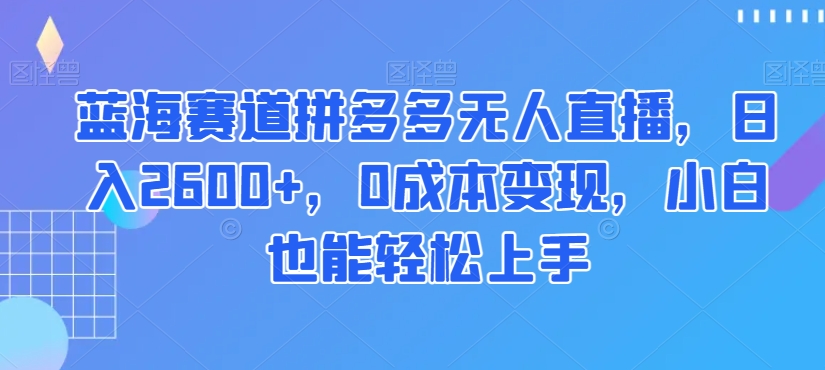 蓝海赛道拼多多无人直播，日入2600+，0成本变现，小白也能轻松上手【揭秘】-轻松搞定副业 - 高效赚钱方法和建议