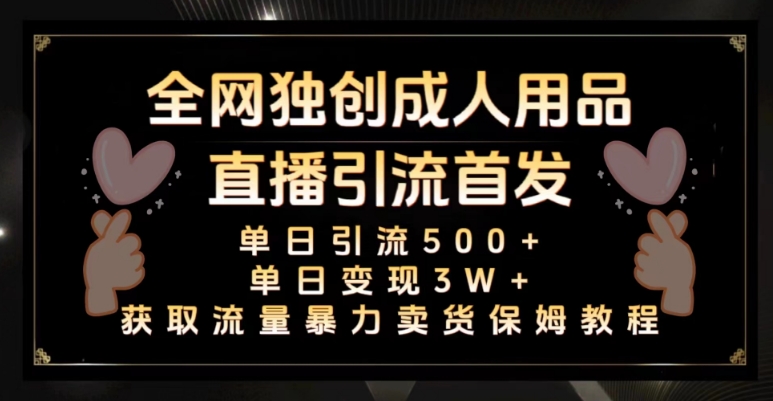 全网独创真人主播+无人直播单日引流500+，橙人用品暴力卖货单日变现3W+保姆似教学2.0【揭秘】-轻松搞定副业 - 高效赚钱方法和建议